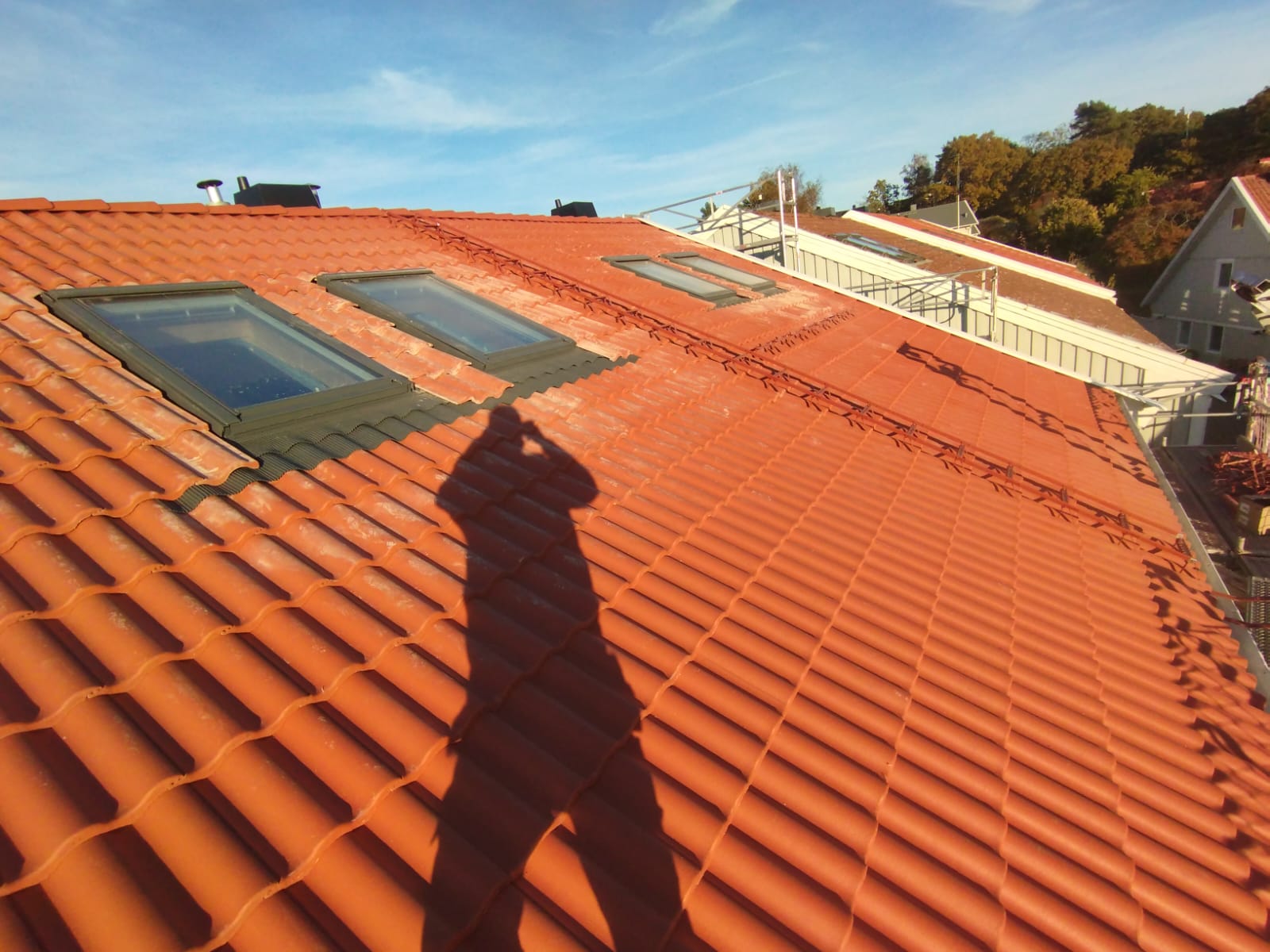 Roof with skylights